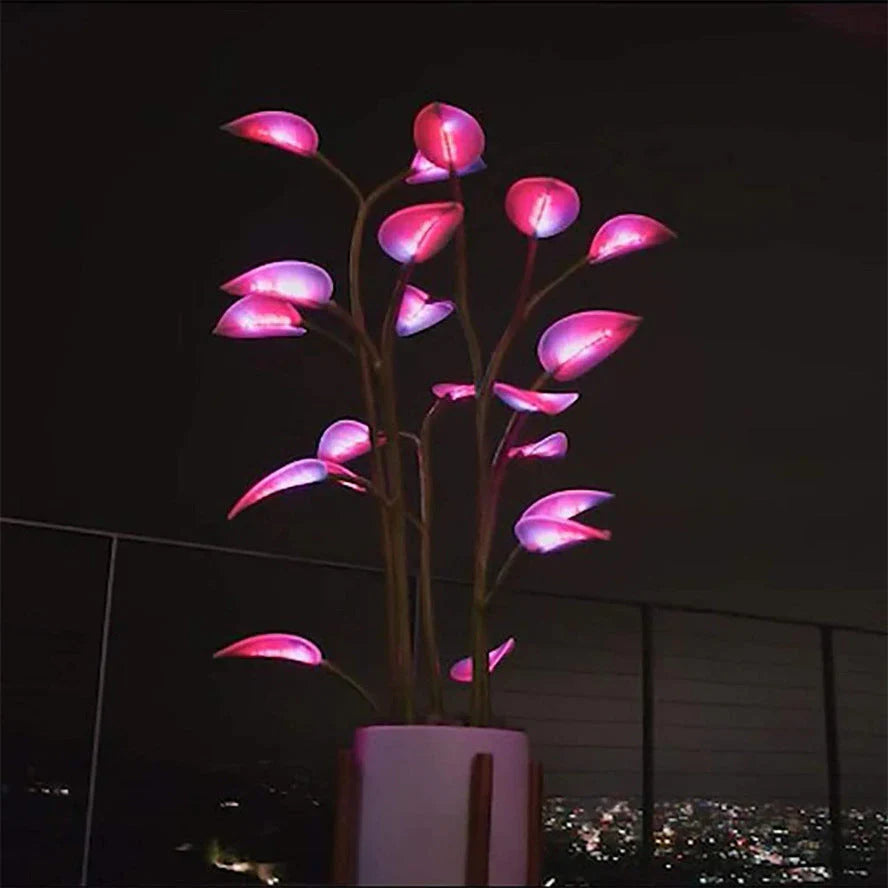 Nachtlampje planten