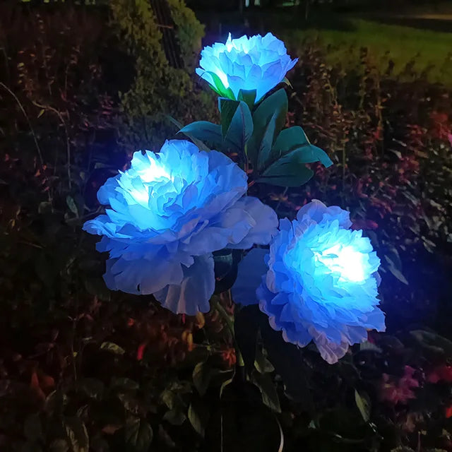 Peonyglow - bloemenlicht op zonne-energie