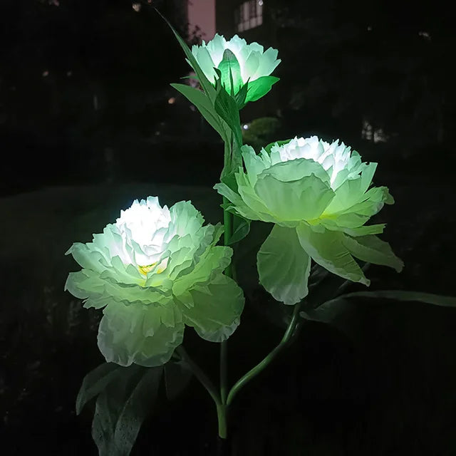 Peonyglow - bloemenlicht op zonne-energie