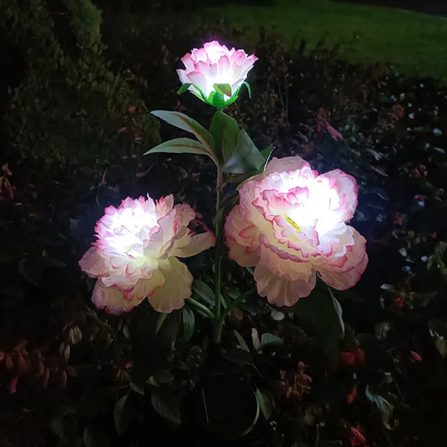 Peonyglow - bloemenlicht op zonne-energie