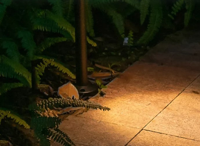 AquaBeam | Robuuste LED-tuinlamp voor het verlichten van buitenpaden