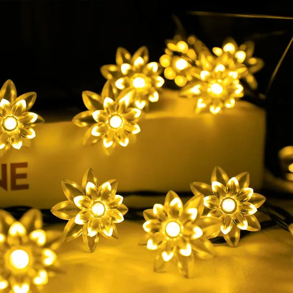 Peachparadise - perzikbloesem-kerstverlichting