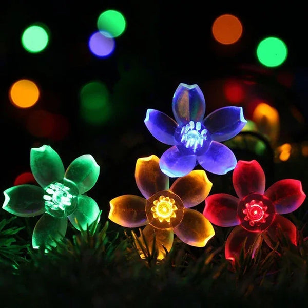 Peachparadise - perzikbloesem-kerstverlichting
