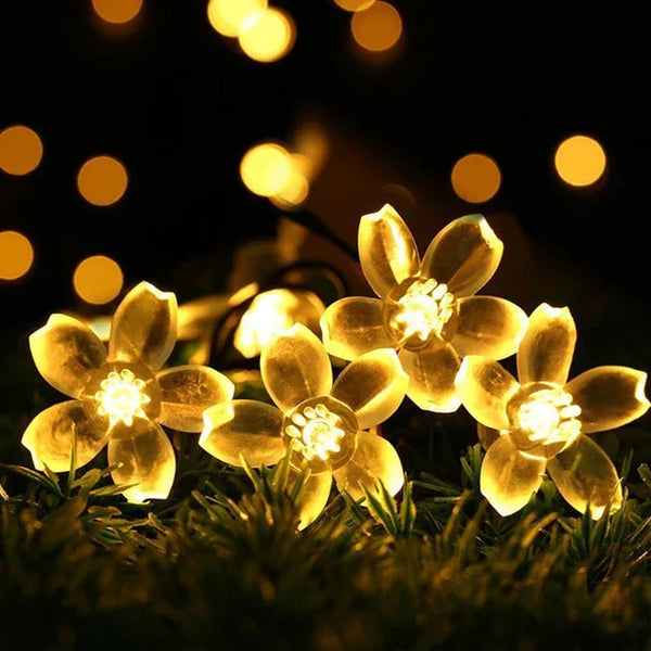 Peachparadise - perzikbloesem-kerstverlichting