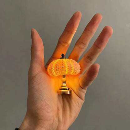 Diy - zee-egel nachtlampje