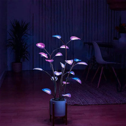 Nachtlampje planten