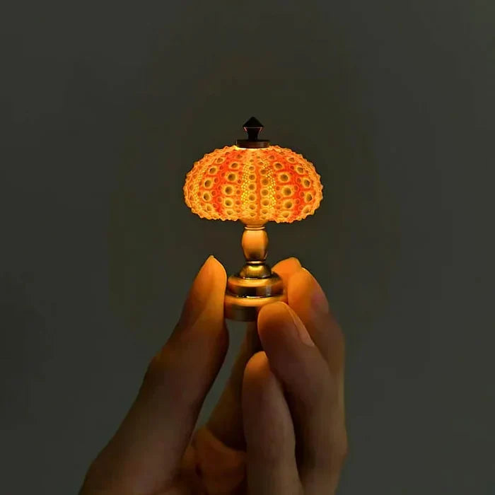 Diy - zee-egel nachtlampje