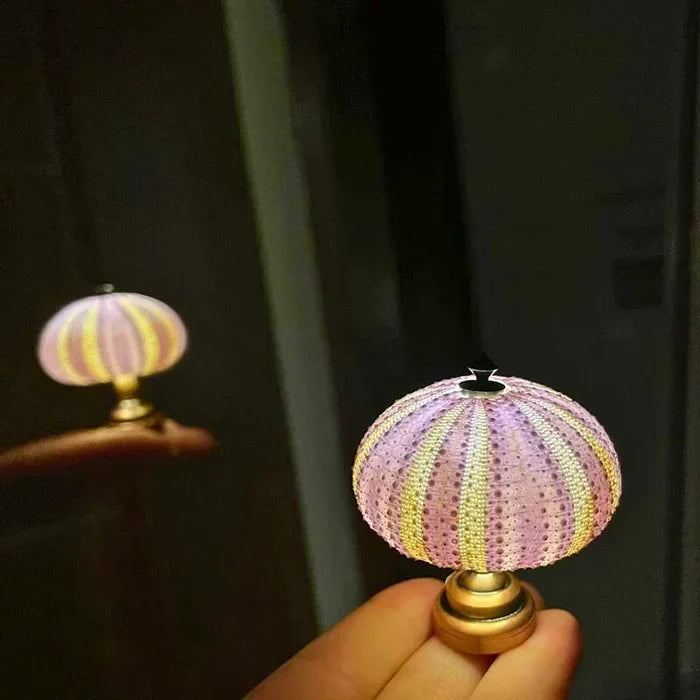 Diy - zee-egel nachtlampje