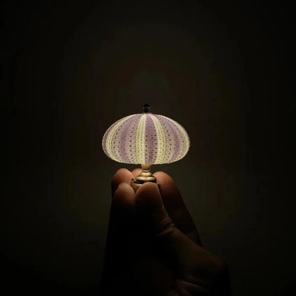 Diy - zee-egel nachtlampje