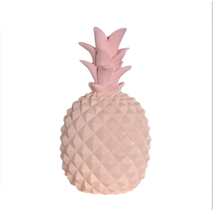 Cash Crop - stijlvolle ananas spaarpot