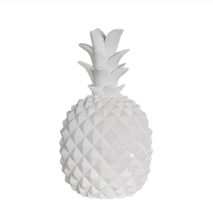 Cash Crop - stijlvolle ananas spaarpot