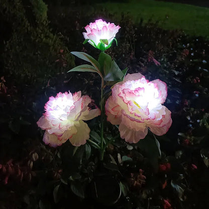 Peonyglow - bloemenlicht op zonne-energie