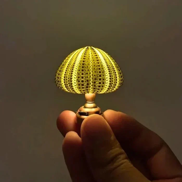 Diy - zee-egel nachtlampje